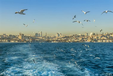 Istanbul, Türkiye, 03 Ocak 2012: Beşiktaş İlçe ISTA