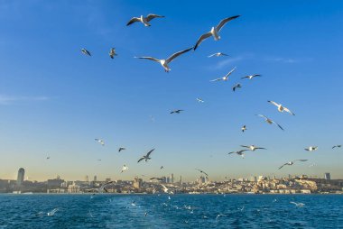 Istanbul, Türkiye, 03 Ocak 2012: Beşiktaş İlçe ISTA