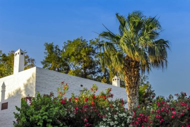 Bodrum, Türkiye, 29 Mayıs 2010: beyaz köşk ve palmiye ağacı