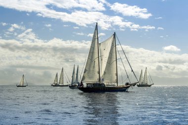 Bodrum, Türkiye, 20 Ekim 2010: Bodrum Kupası, yelkenli