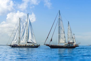 Bodrum, Türkiye, 20 Ekim 2010: Bodrum Kupası, yelkenli