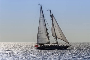 Kalimnos adası, Yunanistan; 22 Ekim 2010: Bodrum Kupası yarışları, Gule