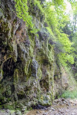 Muğla, Türkiye, 13 Mayıs 2012: Damla Deresi Kanyonu siz Köyü'nde