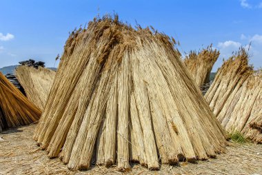 Muğla, Türkiye, 14 Mayıs 2012: Wickers, Kızılkaya Ula