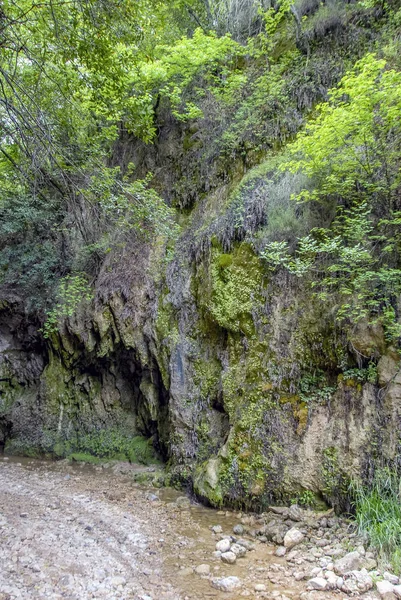 Mugla, Turquía, 13 de mayo de 2012: Damla Deresi Canyon en Village of Ye — Foto de Stock