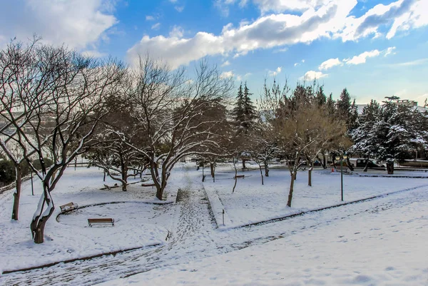 Istanbul, Turkiet, 26 januari 2010: Emirgan grove och snö, Emirg — Stockfoto