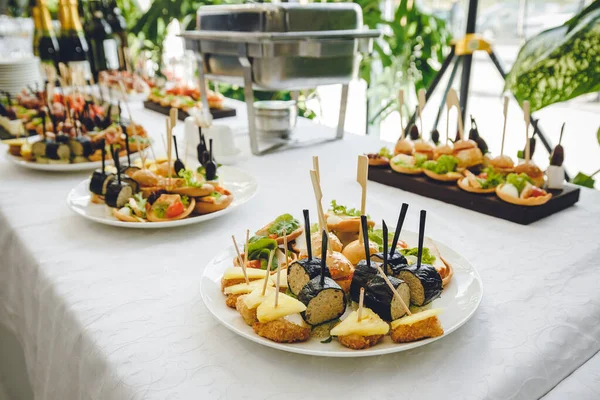Öğlen yemeği molasında sebze ezmesi peynir iğneleri konferans toplantısında ya da otel restoranında beyaz tabakta marul çatallar. Kahve molası ya da stand-up yemeği. Lokanta, stand-up yemeği ya da ziyafet için fotoğraf