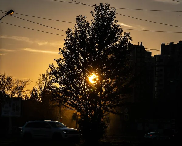 Paysage Automne Feuilles Dorées Sur Les Arbres Soleil Coucher Soleil — Photo