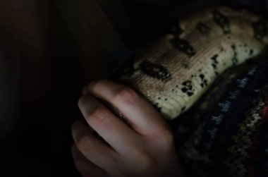 Boa yılanı Imperator normal. İnsan çevre egzotik hayvanlarda. Karanlık bir arka plan üzerinde yılan.