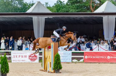 Rusya, Leningrad bölgesi, Enkolovo köyü, binicilik kulübü 