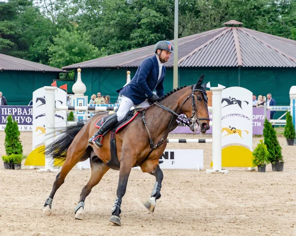 Россия Ленинградская Область Энколово Конный Клуб Дерби Июля 2019 Года Лицензионные Стоковые Фото