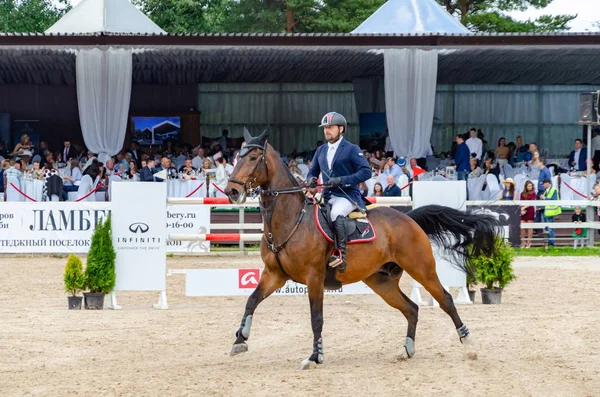 Россия Ленинградская Область Энколово Конный Клуб Дерби Июля 2019 Года Стоковое Изображение