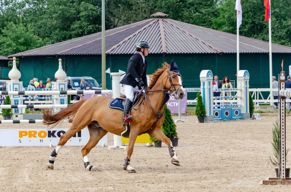 Россия Ленинградская Область Энколово Конный Клуб Дерби Июля 2019 Года Стоковое Изображение