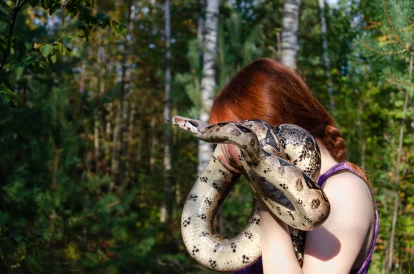 Fearless Girl Holding Snake Boa Constrictor Imperator Normal Creeping Snake — Stock Photo, Image