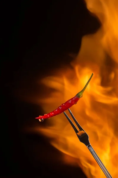 Papryka Chili Widelcu Płomienia Czarnym Tle — Zdjęcie stockowe