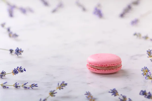 Pink macaron on white marble table and sprigs of lavender laid out around macaron with copy space. — Stock Photo, Image
