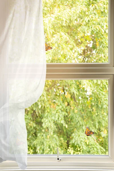 Country Cottage Window Billowing Curtain — Stock Photo, Image