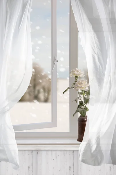 Bílé Růže Okně Zasněžená Krajina — Stock fotografie