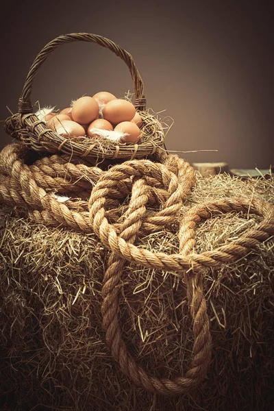 Eggs In Basket — Stock Photo, Image