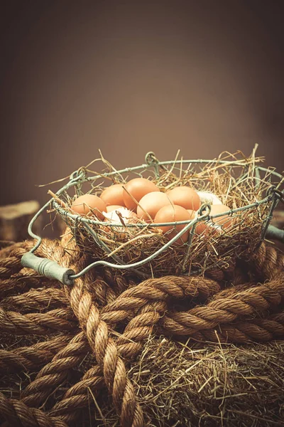 Huevos en el granero — Foto de Stock