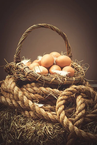 Щойно відведені яйця — стокове фото