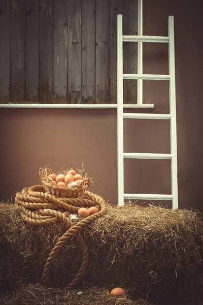 Eggs In Barn — Stock Photo, Image