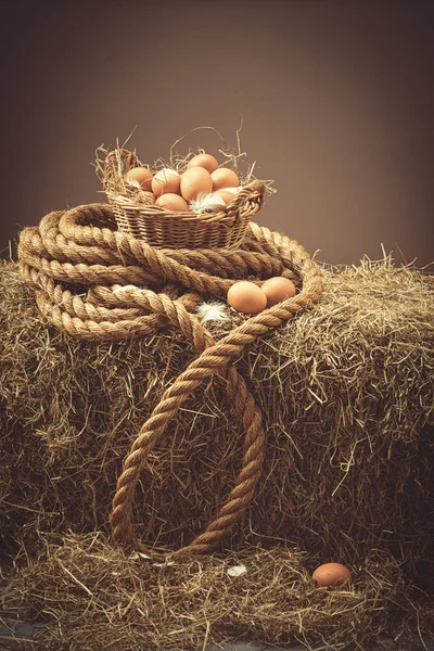 Ahırda taze yumurta — Stok fotoğraf