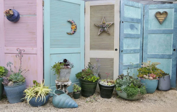 Portes Roses Bleues Avec Plantes Plantes Succulentes — Photo