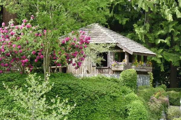 Rustik bahçe kabin gür yeşil bitkiler ve ağaçlar