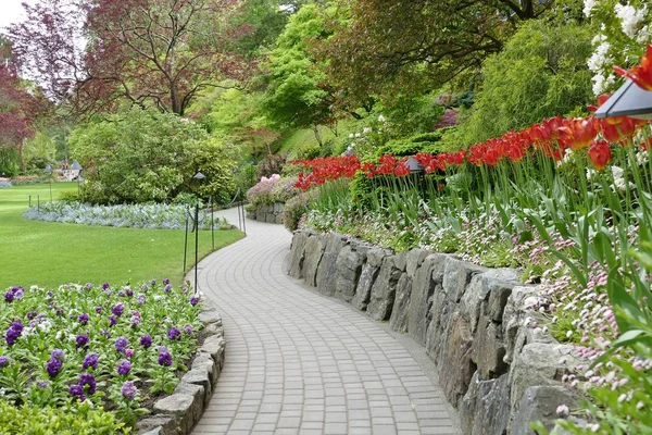美丽的花园小路与郁郁葱葱的绿色植物 — 图库照片
