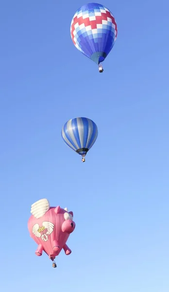 Színes Léggömbök Albuquerque Ballon Fesztivál Lebeg — Stock Fotó