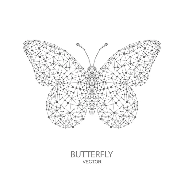 Schmetterling Auf Weißem Hintergrund Low Poly Animal Illustration Wireframe Technologie — Stockvektor