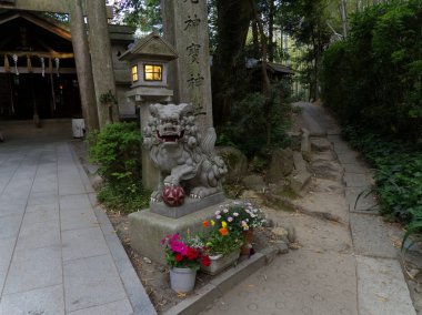 Japonya'daki Tapınak'taki Komainu taş heykeli. Doğu taş köpek-aslan fotoğraf.