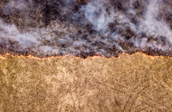 Gran Incendio Hierba Seca Está Ardiendo Mucho Humo Vista Aérea — Foto de Stock