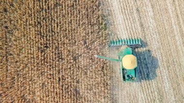 Rusya, Krasnodar - 30 Ağustos 2017: mısır hasat. Hasat alanından Mısır toplamak. Rusya