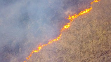 Büyük bir yangın. Kuru ot yanıyor. çok duman. Ekaterinburg, Rusya, Dron, başının üzerinde atış  
