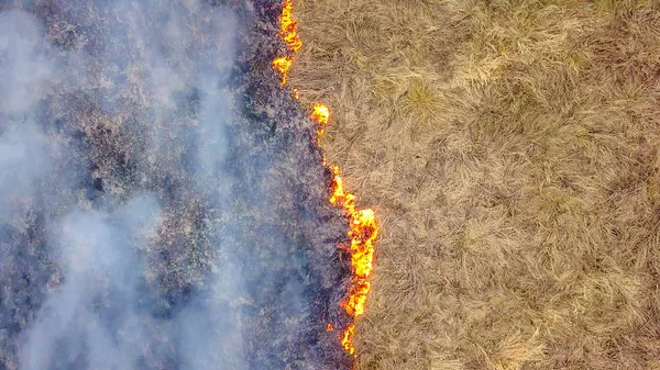 Ein Großes Feuer Das Trockene Gras Brennt Viel Rauch Ekaterinburg — Stockfoto