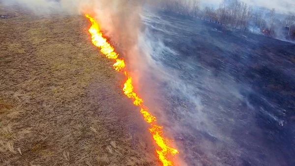 Gran Incendio Hierba Seca Está Ardiendo Mucho Humo Ekaterinburg Rusia — Foto de Stock