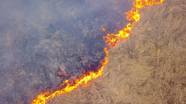 Ein Großes Feuer Das Trockene Gras Brennt Viel Rauch Ekaterinburg — Stockfoto