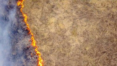 Büyük bir yangın. Kuru ot yanıyor. çok duman. Ekaterinburg, Rusya, Dron, başının üzerinde atış  