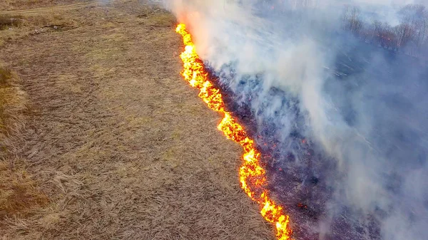 Gran Incendio Hierba Seca Está Ardiendo Mucho Humo Ekaterinburg Rusia — Foto de Stock