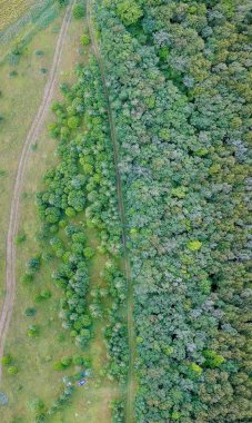 Orman ve alanlar üzerinde yayılır. Panoramik görünümü. Rusya  