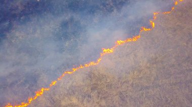 Büyük bir yangın. Kuru ot yanıyor. çok duman. Ekaterinburg, Rusya, Dron, başının üzerinde atış  
