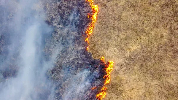 Grand Feu Herbe Sèche Brûle Beaucoup Fumée Ekaterinburg Russie Dron — Photo