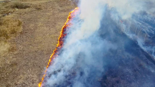 Gran Incendio Hierba Seca Está Ardiendo Mucho Humo Ekaterinburg Rusia — Foto de Stock