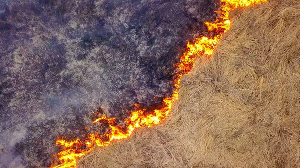 Wielki Pożar Płonie Suchej Trawy Dużo Dymu Ekaterinburg Federacja Rosyjska — Zdjęcie stockowe