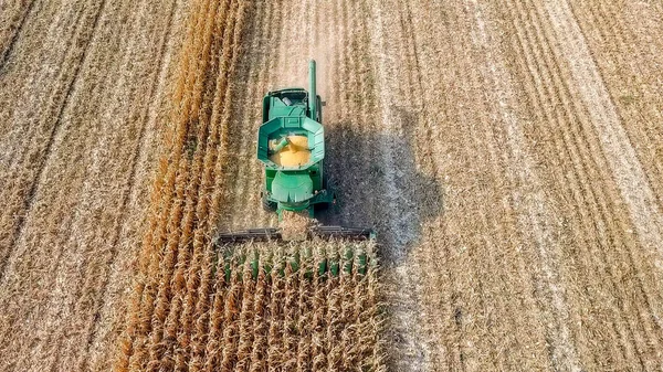 ロシア クラスノダール 2017 トウモロコシの収穫 ハーベスタは フィールドからトウモロコシを収集します ロシア — ストック写真