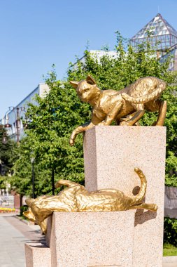 Rusya, Tyumen - 15 Temmuz 2018: Kedi heykeli. Siberian kedi Meydanı, Tyumen şehir merkezi. Anıt Siberian kedi