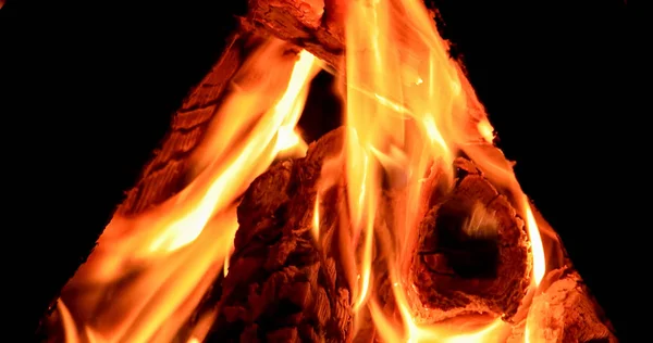 Gros Plan Sur Bonfire Nuit — Photo