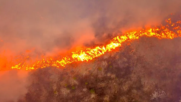 Ein Großes Feuer Das Trockene Gras Brennt Viel Rauch Ekaterinburg — Stockfoto